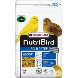 Gold pätée canari nutribird
