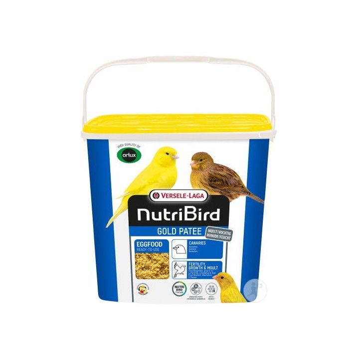 Gold pätée canari nutribird