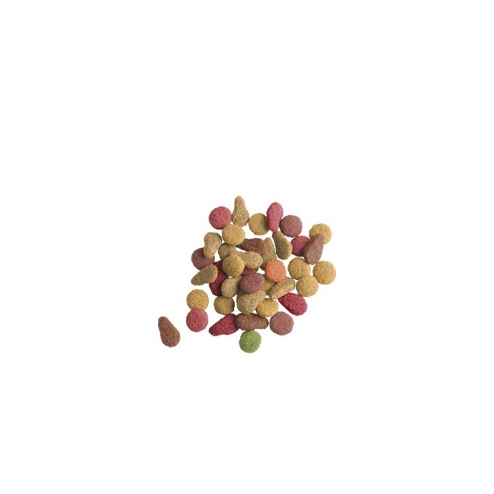 Lara Adult Salmon 2kg