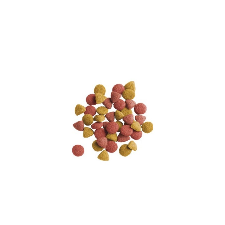 Lara Adult Sterilized 2kg