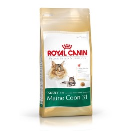 Royal Canin Maine Coon pour chat