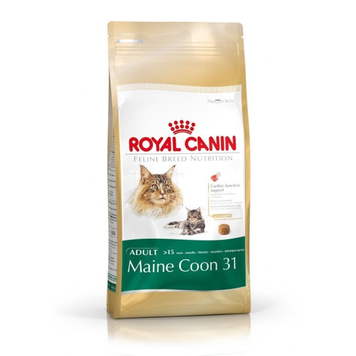 Royal Canin Maine Coon pour chat