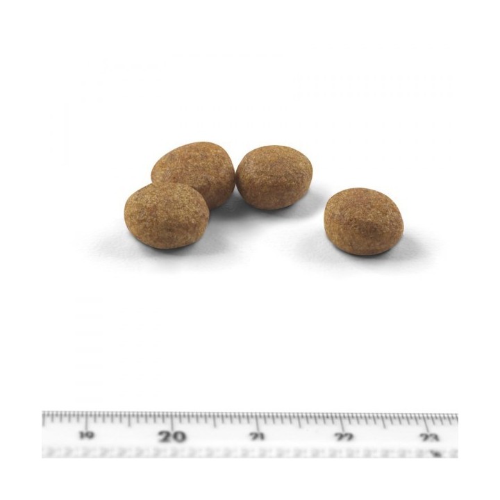 Royal Canin Sterilised 37 pour chat