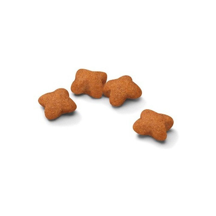 Royal Canin Kitten  pour chaton