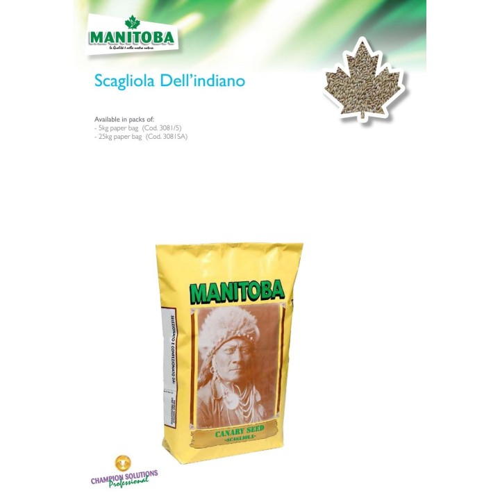 Graines d'alpiste Manitoba 20 kg+2 kg offert