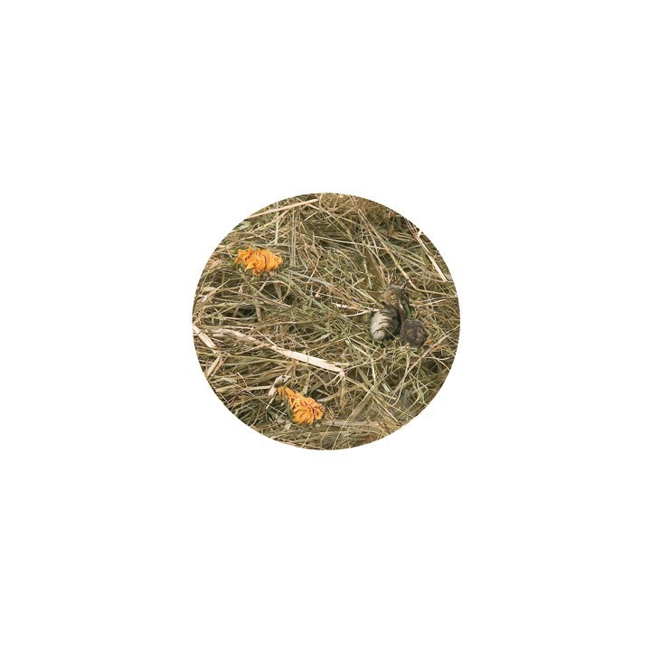 Foin de montagne avec fleur de pissenlit 500g