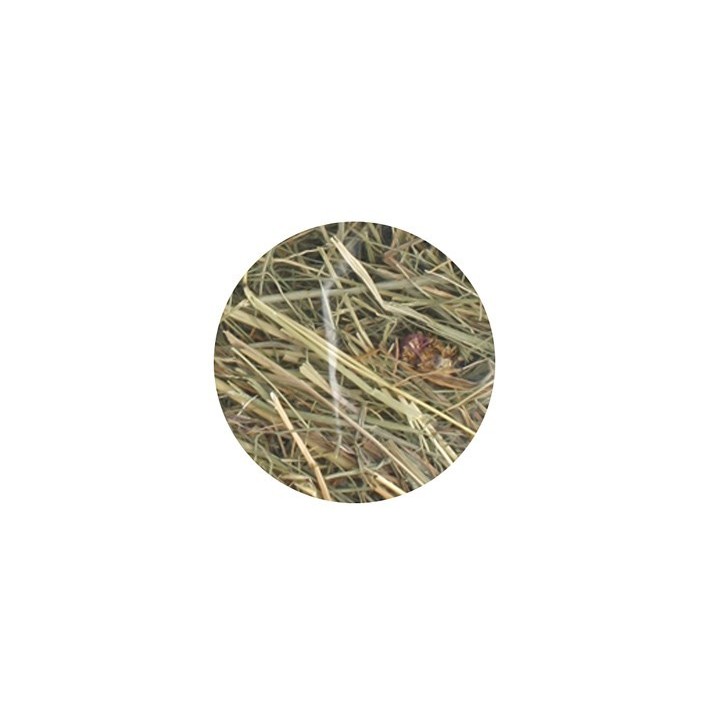 Foin de montagne à la camomille 500g