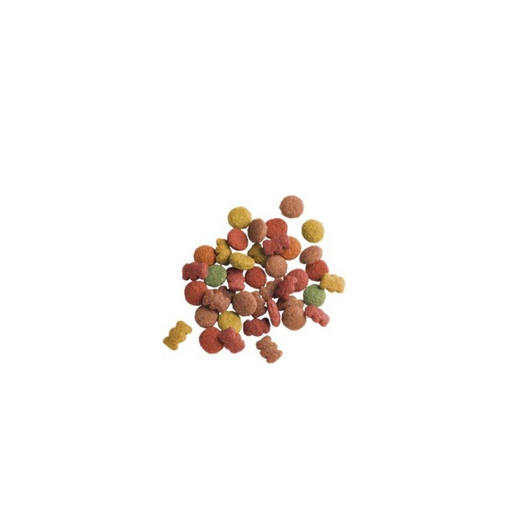 Lara Adult Agneau 2kg