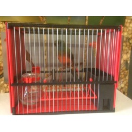 Cage espagnole complète c2 (jaula)