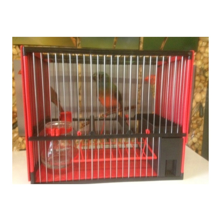 Cage espagnole complète c2 (jaula)