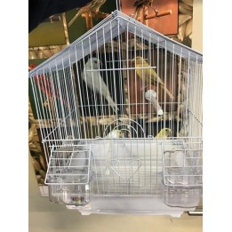 Cage à oiseaux