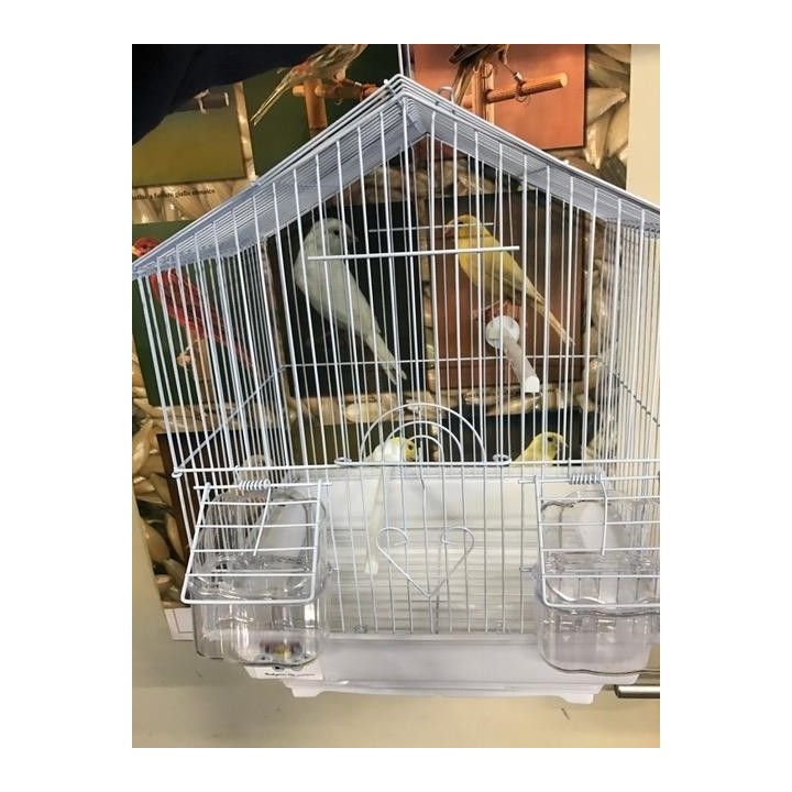 Cage à oiseaux