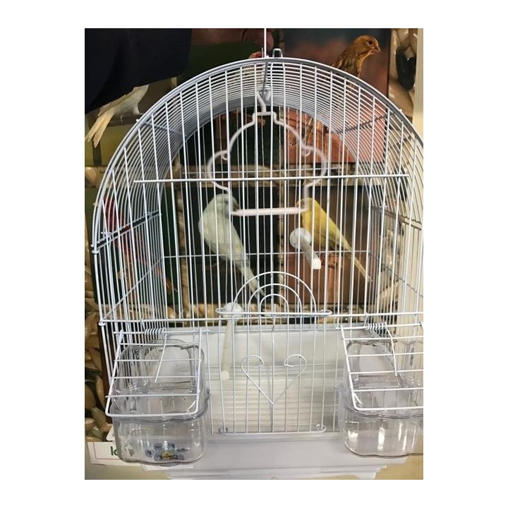 Cage à oiseaux