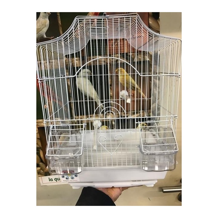 Cage à oiseaux
