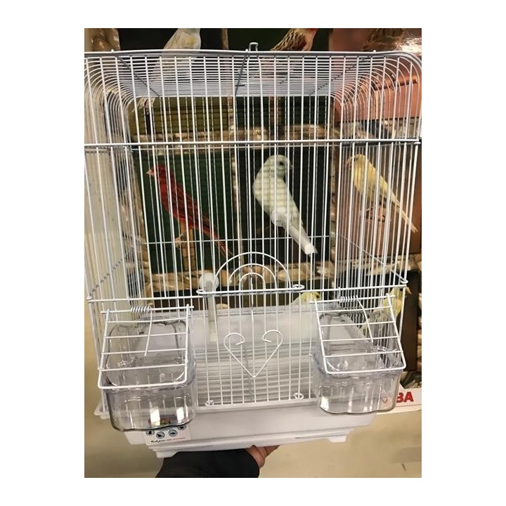 Cage à oiseaux