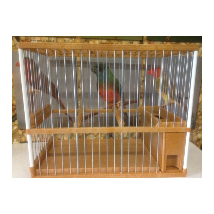 Cage de chant espagnole