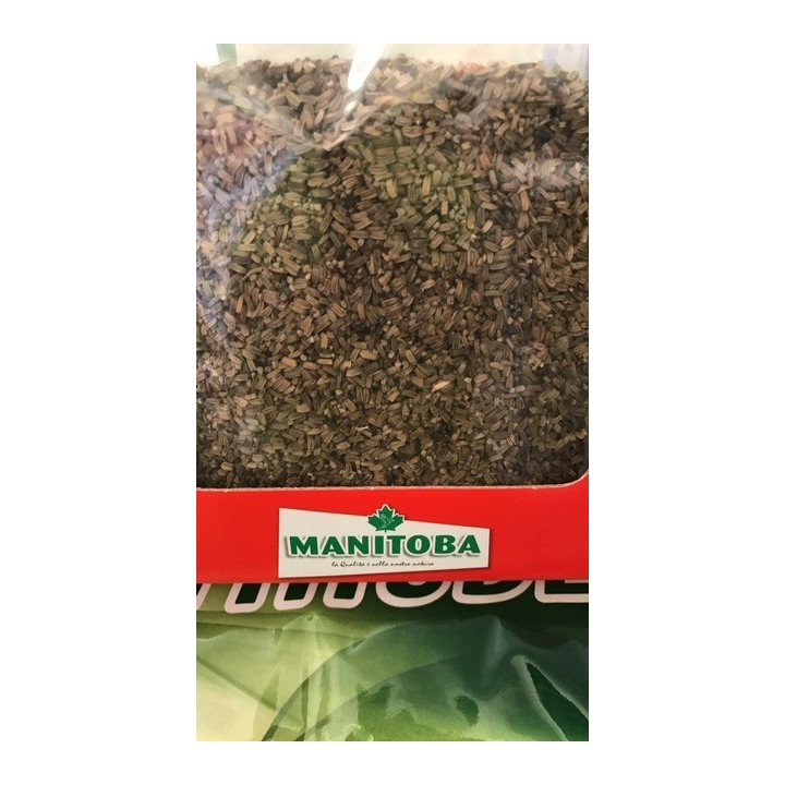 Graine de chardon sauvage 500g Manitoba