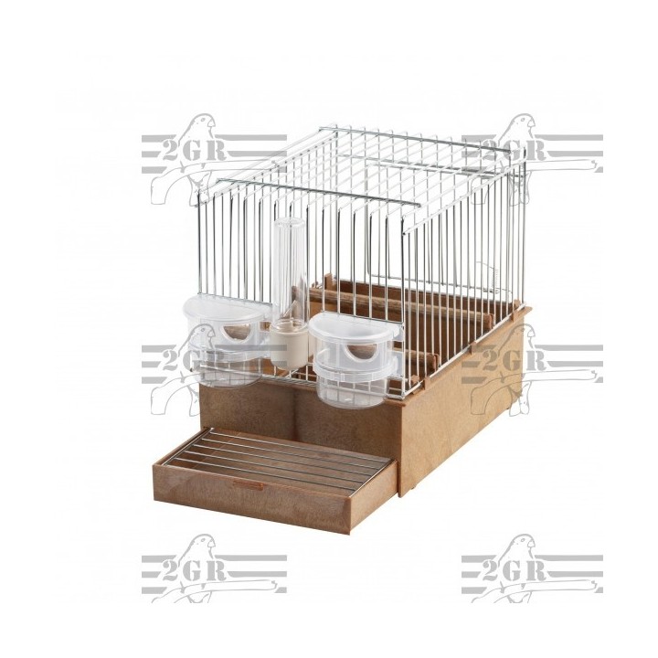 Cage pour oiseaux de chant pour exposition