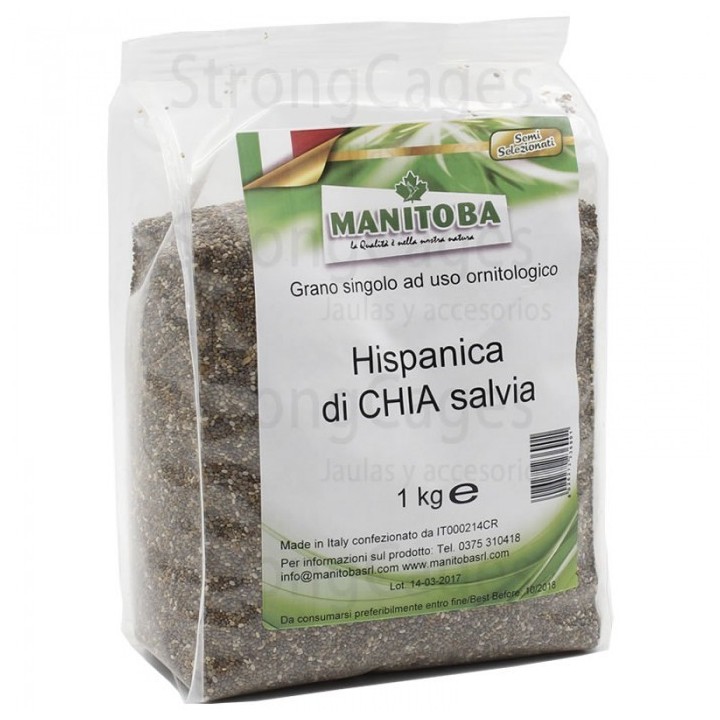 Graines de Chia Manitoba