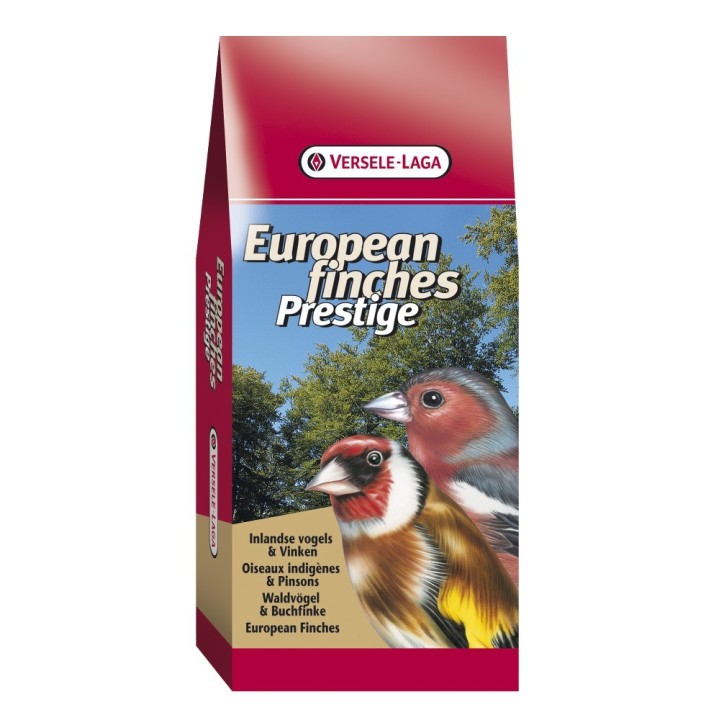 Tarins extra