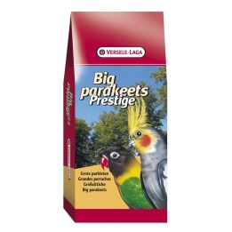 Grandes perruches euphèmes prestige
