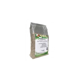 Graines de Laitue Blanche 1kg