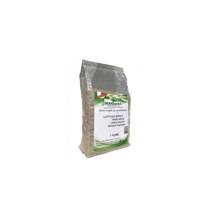 Graines de Laitue Blanche 1kg