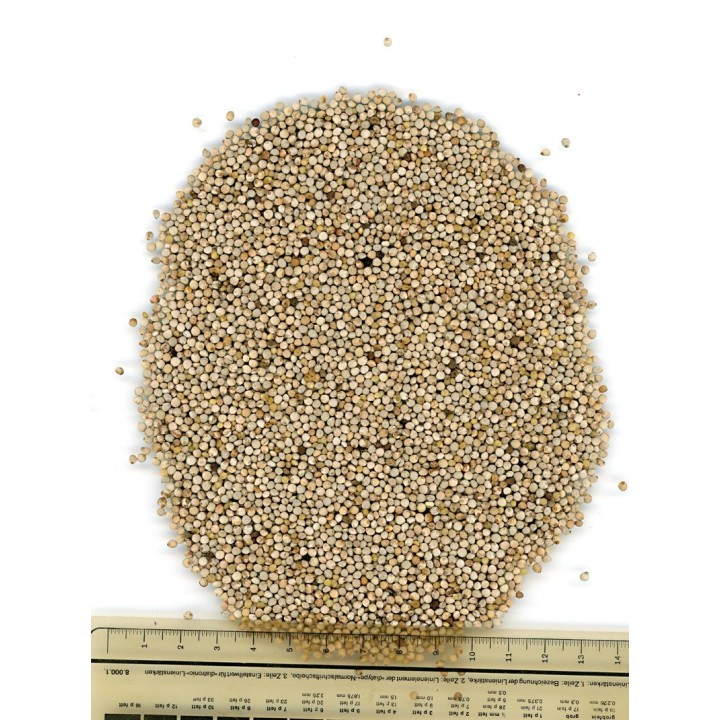 Perilla blanc Manitoba 1 kg