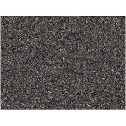 Graine de tournesol striées / nettoyées 12.5 kg