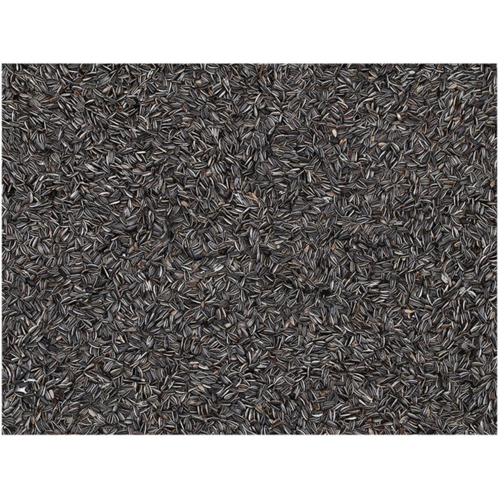 Graine de tournesol striées / nettoyées 12.5 kg