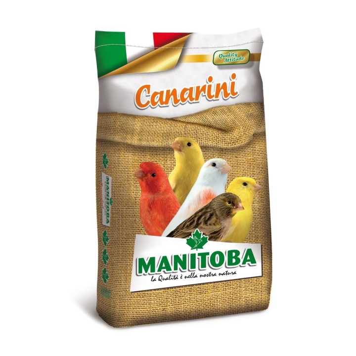 Mélange canari T1 biscuit