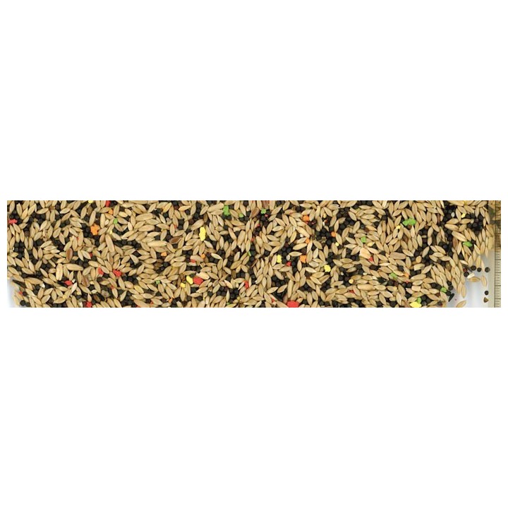 Mélange canari T1 biscuit
