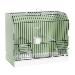 Cage d’exposition oiseaux verte grille noire mangeoires extérieures