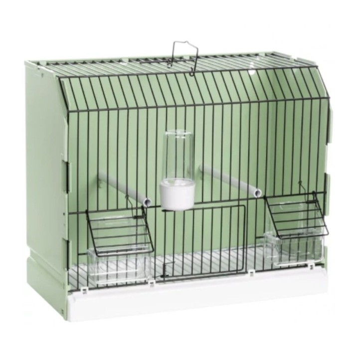 Cage d’exposition oiseaux verte grille noire mangeoires extérieures