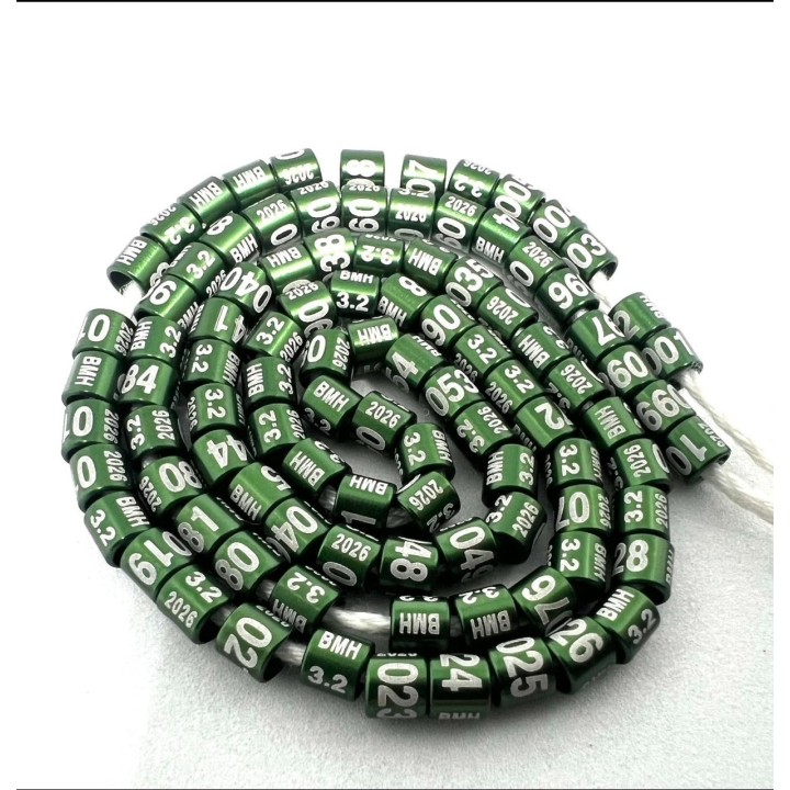 Bagues alu année 2026 couleur verte gravure blanche 5.5 mm