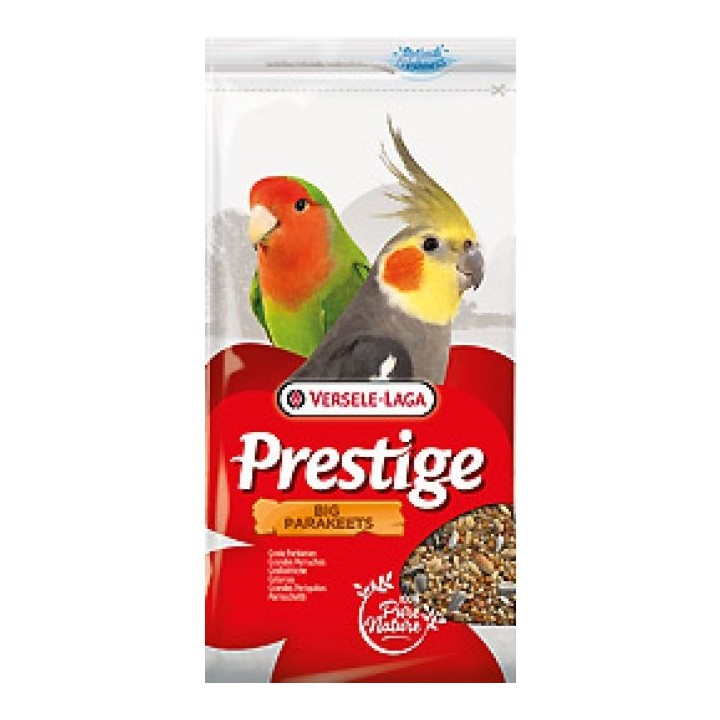 Grandes perruches prestige