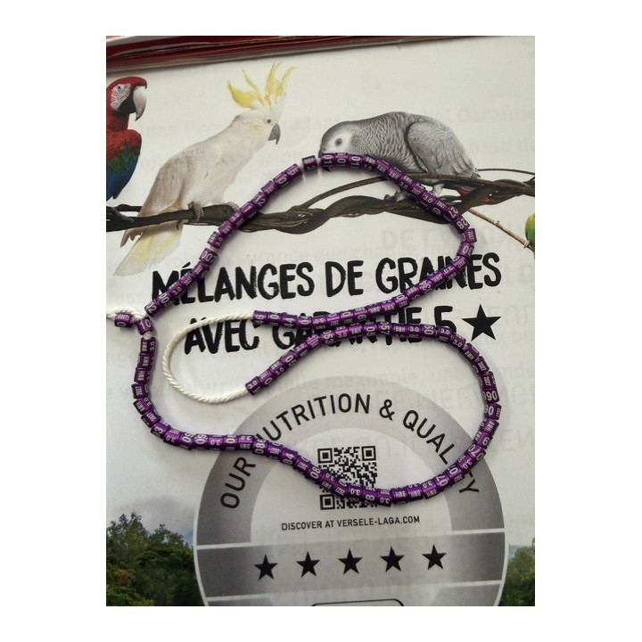 10 Bagues alu année 2027 couleur violet gravure blanche 4.5 mm