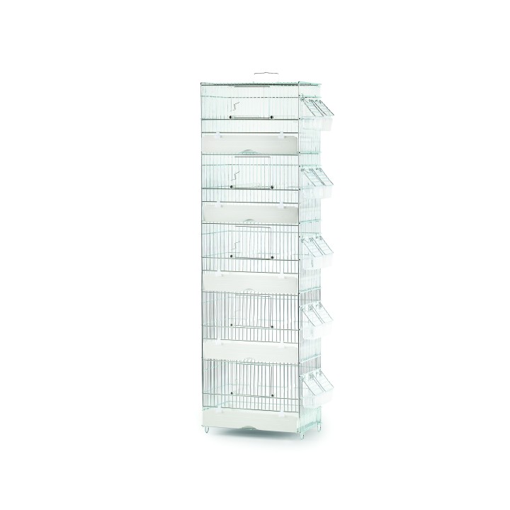 Cage de chant 5 etages
