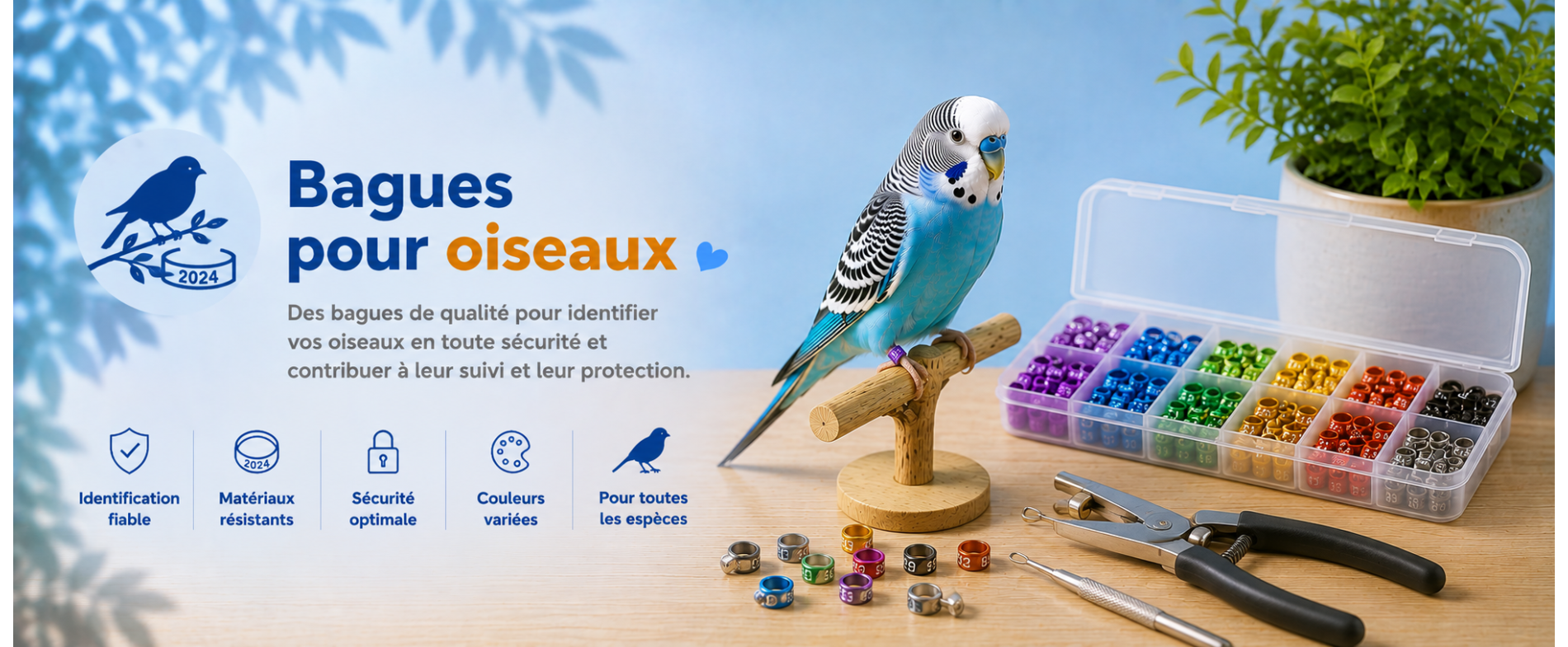 Bagues pour oiseaux | AnimauxCool