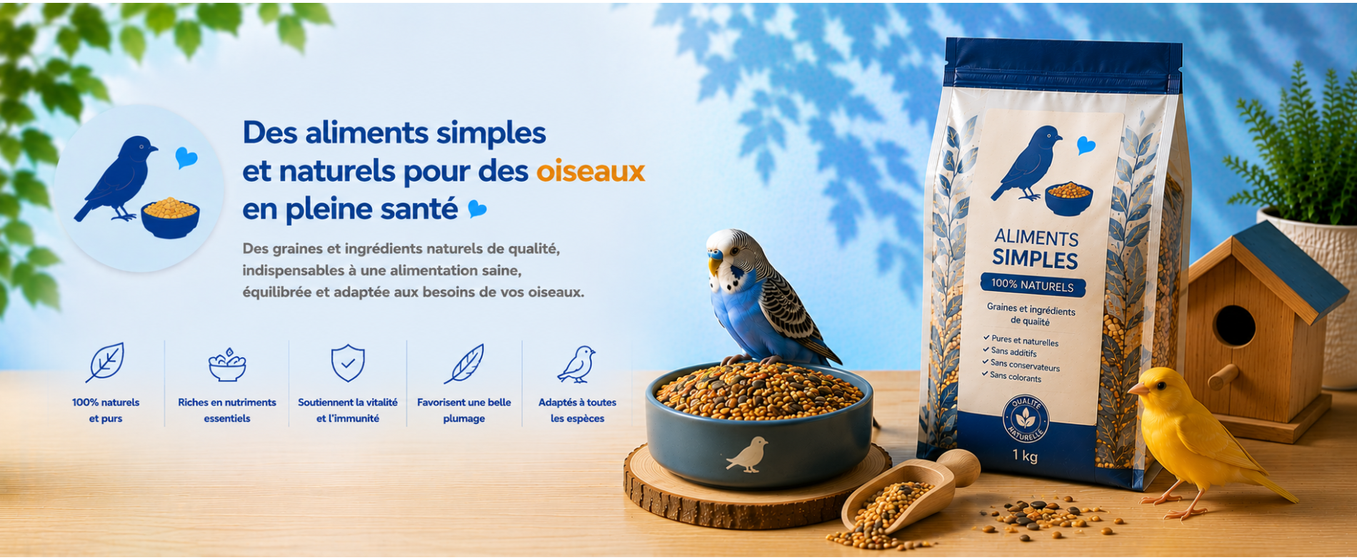 Aliments simples pour oiseaux | Graines naturelles | AnimauxCool