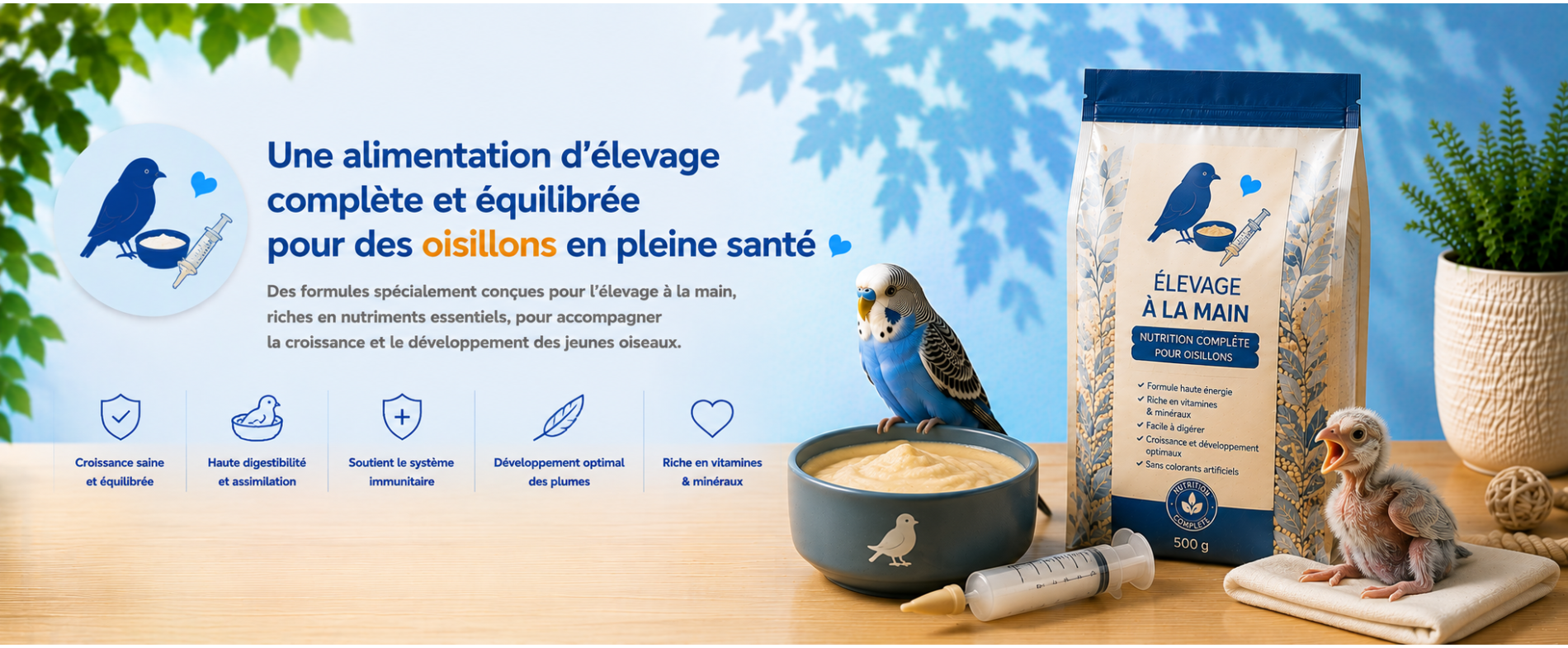 Alimentation pour élevage à la main des oiseaux | AnimauxCool