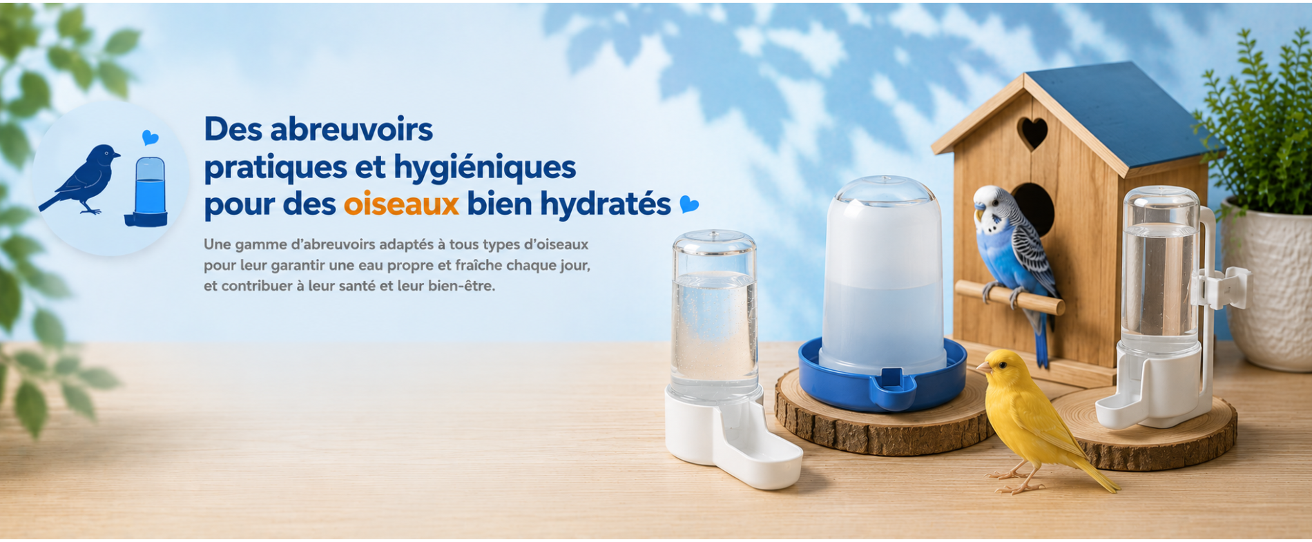 Abreuvoirs pour oiseaux | Eau propre au quotidien | AnimauxCool
