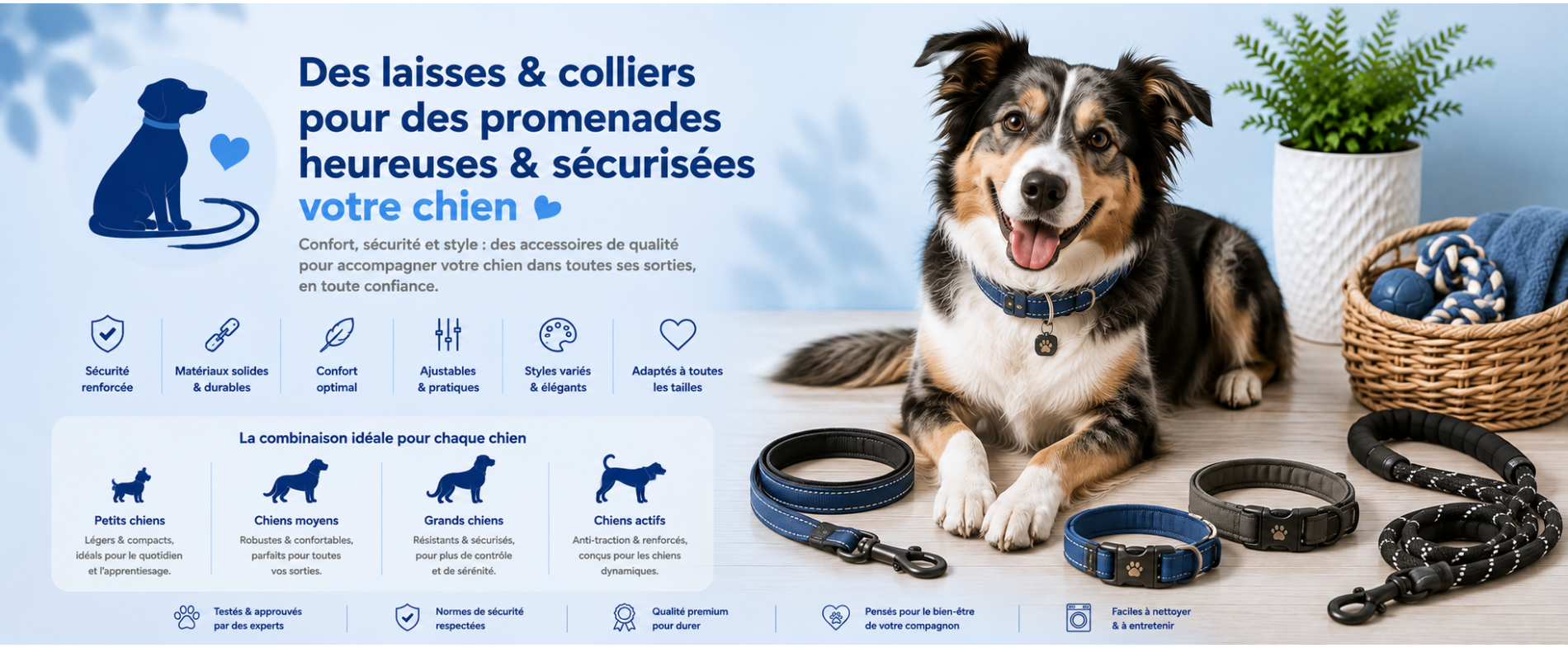 Laisses et colliers pour chiens | AnimauxCool