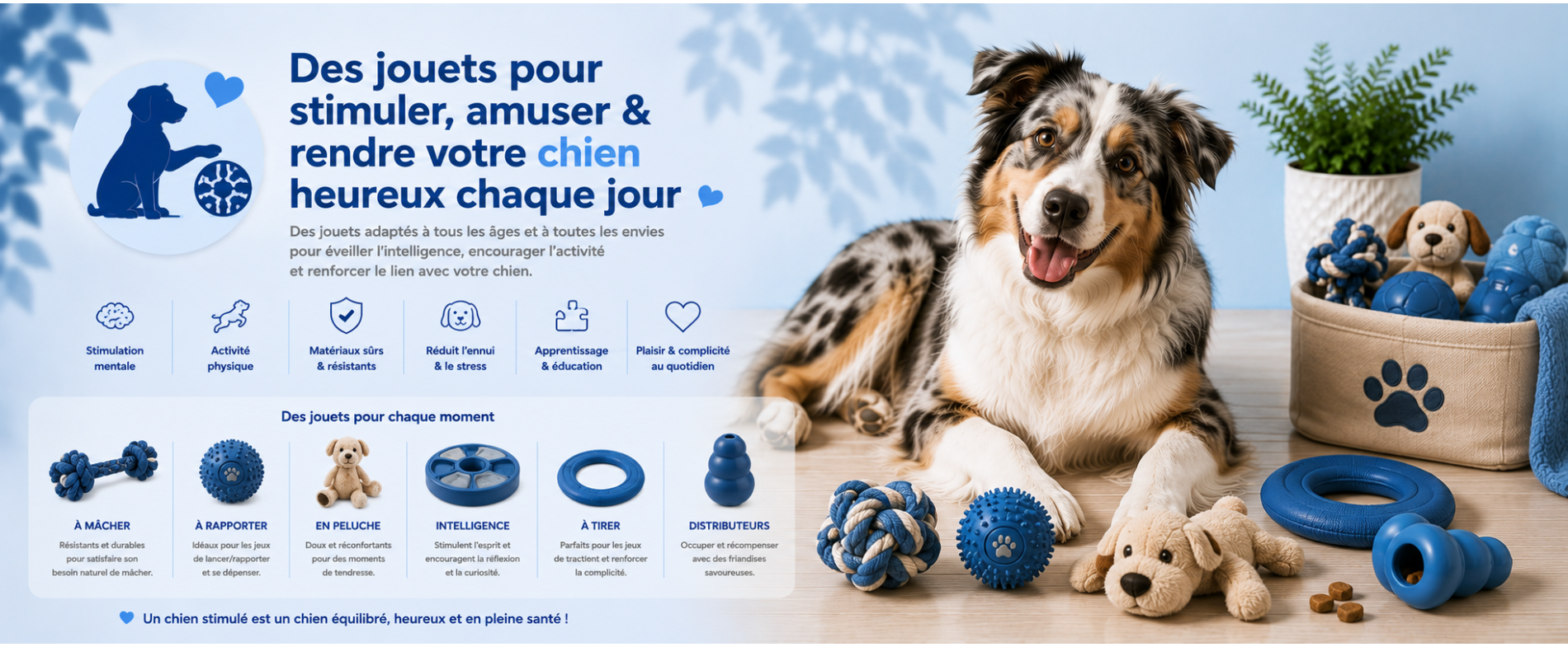 Jouets pour chiens | AnimauxCool