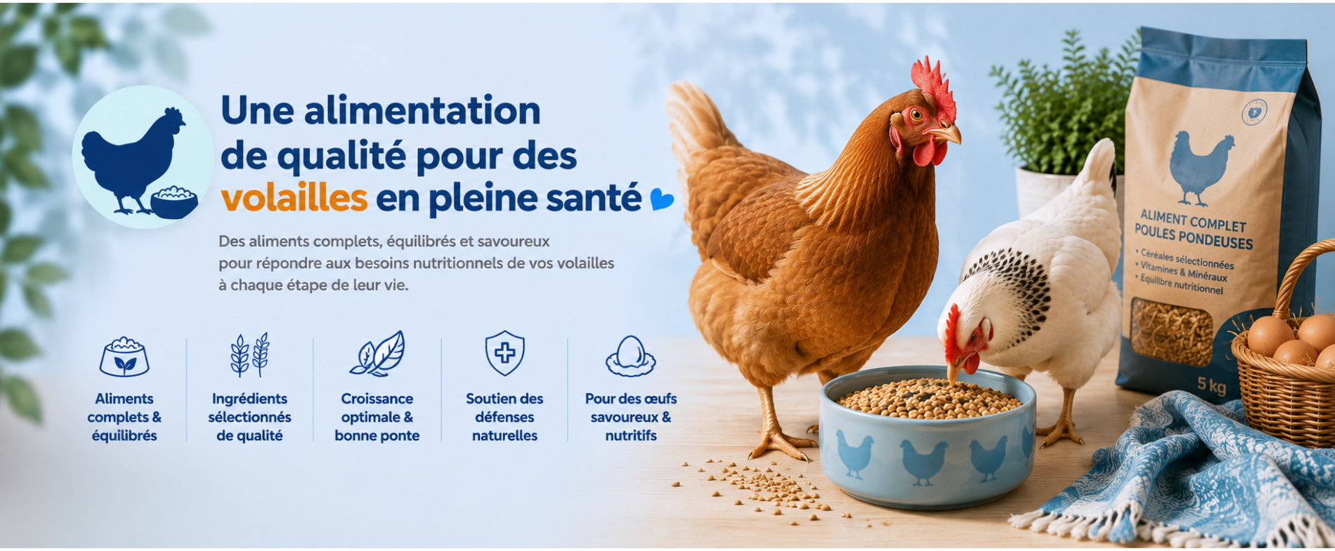 Alimentation pour volailles | AnimauxCool