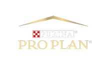 Pro Plan